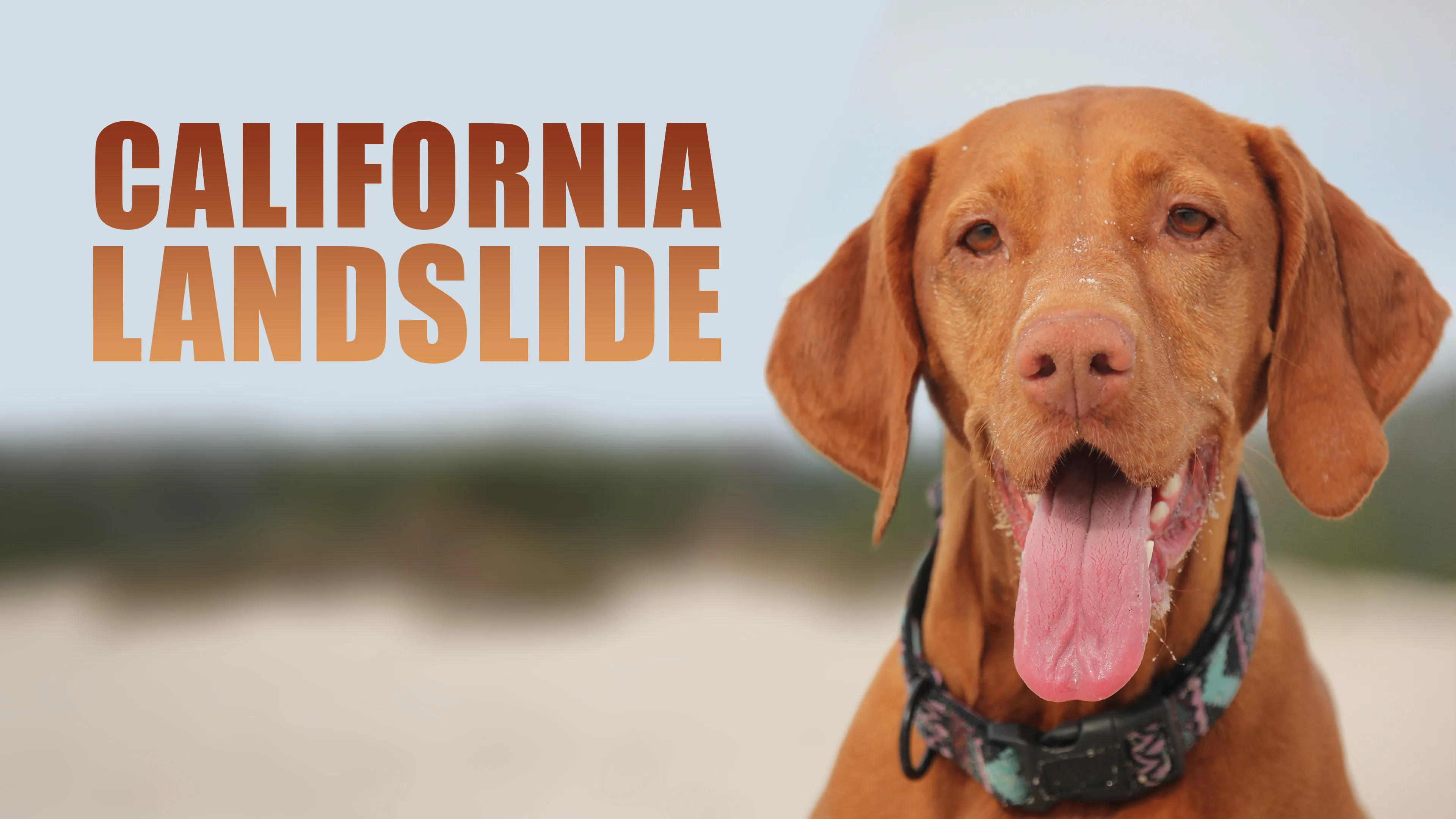 California Landslide poster